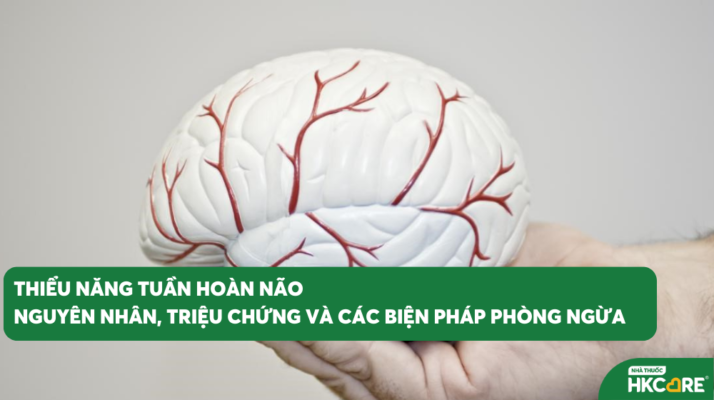 Thiểu Năng Tuần Hoàn Não: Nguyên Nhân, Triệu Chứng Và Các Biện Pháp Phòng Ngừa