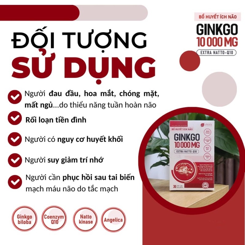 bổ huyết ích não ginkgo