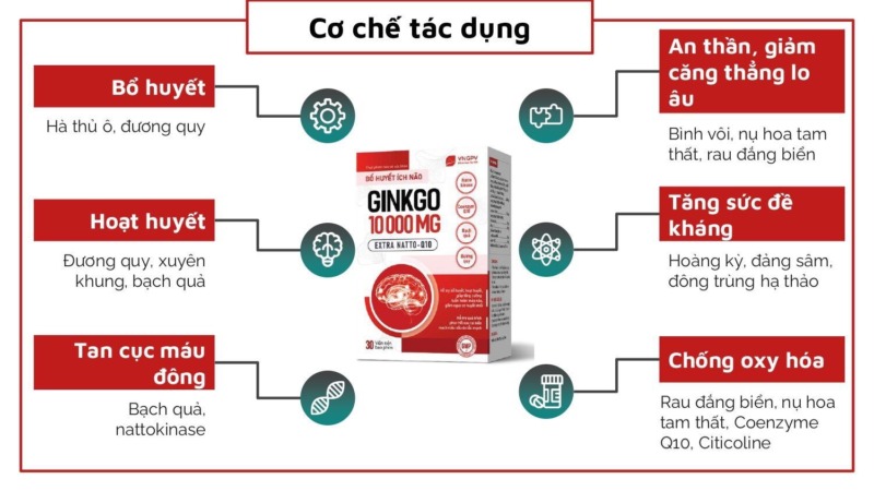 bổ huyết ích não ginkgo