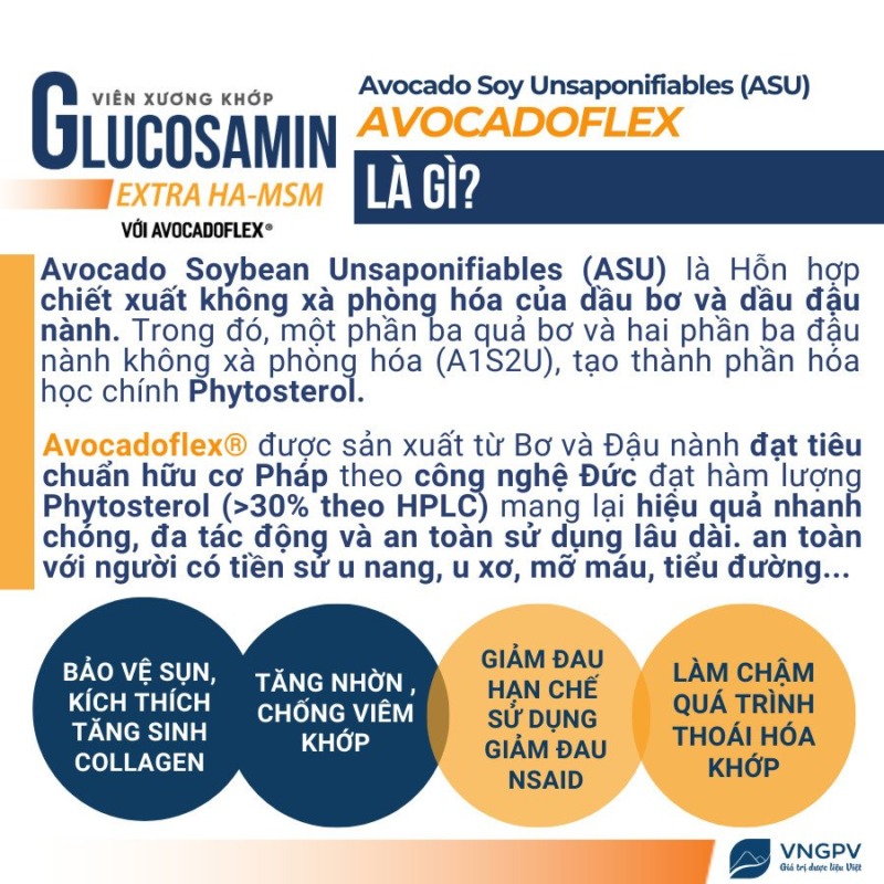 Viên xương khớp GLUCOSAMIN EXTRA HA-MSM WITH AVOCADOFLEX